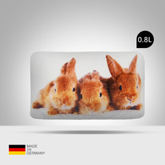 Germany imported Fashy small pillow children's cartoon water hot water bag 65400 warm water bag hand warmer 0.8L Fashy cute rabbit printing