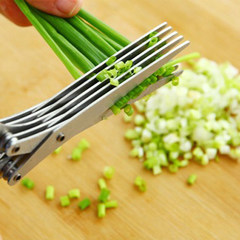 Chopped green onion scissors, kitchen utensils, stainless steel five layer chopped green onion, laver chopped food shear, strong multi-layer scissors (five layers of green onion scissors) mixed color random hair