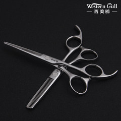 Western gull barber professional hairdressing scissors set combination flat cut tooth Shear Thinning Shears Hair Scissors Straight handle flat screw 6 tooth shears