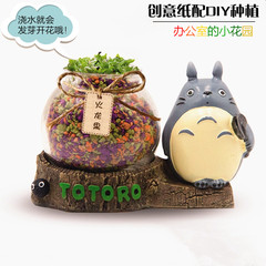 Creative micro Totoro landscape water paper culture plant decoration Home Furnishing student gift girl students birthday gift gift Stump modeling