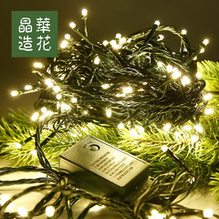 Taiwan Jinghua flower christmas lights 300 head 100 head warm light LED Christmas lights, Christmas decorations 45 grain fishing lamp