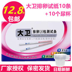 Authentic ovulation test paper 10 +10 urine cup test ovulation ovulation test, prepared pregnancy accurate package