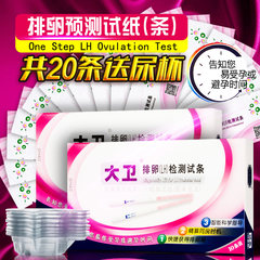 David two boxes of ovulation test 20 urine cup 20 pregnant follicle ovulation test LH high precision homepregnancy test