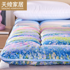 Tatami mats 1.2 meters 1.8m Simmons bed double bed 1.5m economy are students dormitory mattress Fenghua 90*200CM