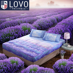 Lovo Carolina textile folding mattress pad love life produced in Provence cotton bed pad Other areas 120*55*30 180× 200cm