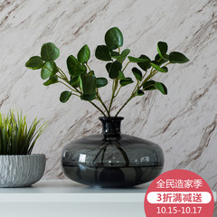 Transparent glass vase color fine mouth belly Vase Decoration simple modern secluded orchid in a deserted Valley gray