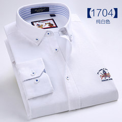 Paul pure cotton Oxford long sleeve shirt, men's business self color pure white shirt, striped cotton casual shirt Forty-two One thousand seven hundred and four