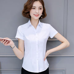 Autumn and winter white shirt, long sleeve career V collar, work clothes, twill suit, big code ol frock, cotton blouse 3XL White twill V collar short sleeve