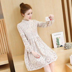 Special offer every day new large size women backing Korean fashion in the long skirt collar lace dress S Apricot