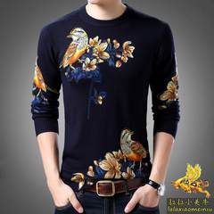 New style of Chinese Style Men's sweater in spring and Autumn period, male big size V collar knitted sweater, young men's sweater 165/M 019 [thickening]