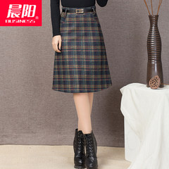Wool skirt autumn 2017 new female Korean all-match winter skirt thickened in the long waisted A-line a 26/S one foot nine Green