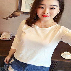 2017 new winter color thin cotton T-shirt Size mm leisure all-match fat female long sleeve shirt blouse M White collar