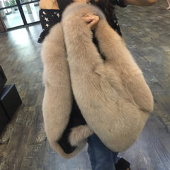 2017 new Korean imitation fur vest in the long section of fox fur coat fur vest vest winter female rabbit XS Apricot