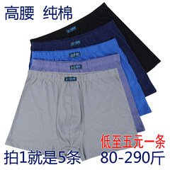 XL loose cotton underwear four men boxer waist angle in the elderly head fat breathable shorts Dad 3xL (140-155 Jin) Five: five colors