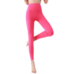 Female wearing long johns waist cotton thin line pants tight underpants Cotton Single Ladies student body warm pants 160 (M) Rose red