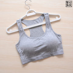 A short section of bra-t cotton modal vest wrapped chest no rims bra bra bra with sports underwear Gray vest [model] modal S