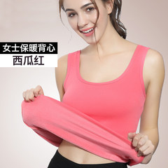 Warm vest, lady, man, cashmere, body, coat, underwear, cotton, bottoming suit, autumn and winter M Watermelon red female