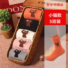 Socks wool socks for men and a thick warm winter in the Korean version of pure cotton socks socks deodorant sports stockings F Kitty girl five double pack