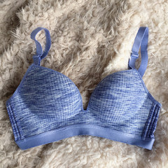 Korean winter without ring one piece seamless bra bra chest small chest girl was gathered all-match students underwear blue 32AB cup