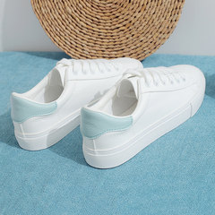 2017 new leather shoes in autumn and winter all-match Korean white shoe female Korean students flat canvas shoes Thirty-eight White and blue