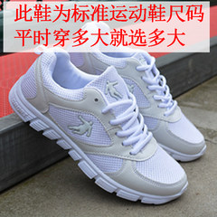Early autumn new sport shoes breathable mesh shoes lightweight running shoes casual shoes shoes soft trend of Korean Tourism Forty-three White (standard size)