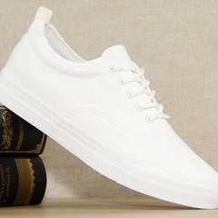 Early autumn autumn breathable pure white canvas shoes men shoes casual shoes low student cloth thick bottom small new Forty-three Milky white