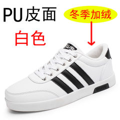 Canvas shoes shoes autumn tide male male trend of Korean white sports shoes all-match winter men's shoes 40 standard code 1581 plus a white cashmere leather