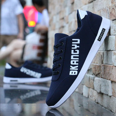 Shoes men`s winter fashionable shoes canvas shoes men`s Korean version fashionable shoes students take a lot of casual shoes anti-odor men`s cloth shoes 43 707 blue
