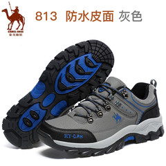 Armored camel Mens Sports shoes breathable waterproof antiskid shoes wear winter outdoor shoes travel shoes Dad Forty-five gray
