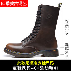 Martin winter boots male leather British style high boots boots Bangchang cylinder male tide snow plus velvet warm shoes Thirty-eight 6601 bronze (single shoe)