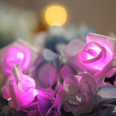 厂家直销LED玫瑰花电子灯串eva玫瑰灯串灯电池盒灯串一件代发 暖白