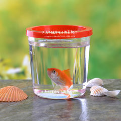 厂家直销 爬虫饲养盒创意小型迷你乌龟缸斗鱼水母杯 塑料鱼缸透明 7*8厘米