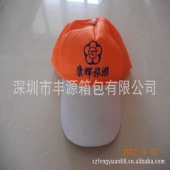 广告帽子定制LOGO一次性旅游帽总统选举帽团体帽棒球帽定制logo