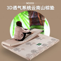 薄天然山棕床垫棕垫定做折叠特价席梦思床垫1.5软棕垫1.8棕床垫 3厘米棕芯 0.8m*1.9m